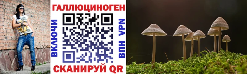 Псилоцибиновые грибы прущие грибы  Сарапул 