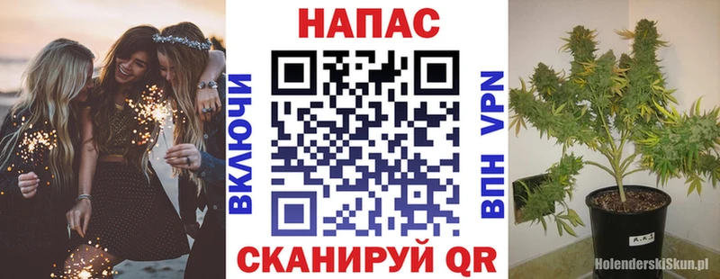 даркнет сайт МЕГА как зайти МАРИХУАНА конопля Сарапул